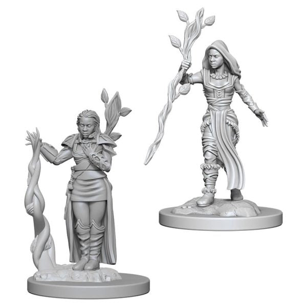 Dungeons & Dragons Nolzur’s Marvelous Miniatures: Human Druid (Female)