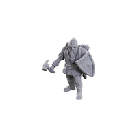 Dungeons & Dragons Nolzur’s Marvelous Miniatures: 50th Anniversary Limited Edition - Dwarves