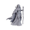 Dungeons & Dragons Nolzur’s Marvelous Miniatures: 50th Anniversary Limited Edition - Elves