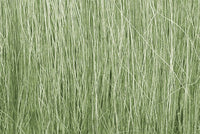 Woodland Scenics Field Grass - Medium Green