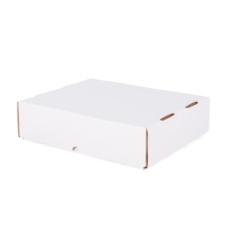 3200 Count Storage Box (Full Lid)